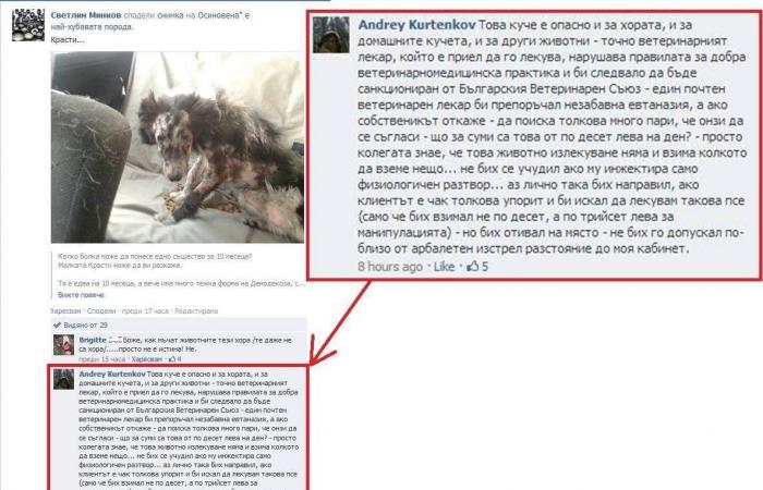 Citizens raised the alarm about an LTU associate professor who killed dogs for money – Criminal 18+