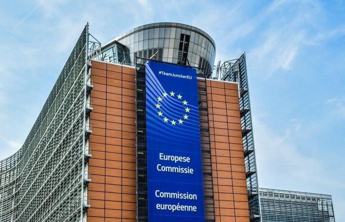 The European Commission: Bulgaria and Romania will not join Schengen this year