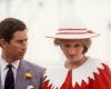 PICTURES reveal the nightmare Princess Diana lived through