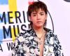 Canadian K-pop star Chris Woo sentenced to 13 years in prison – Society – The World – NOVA News